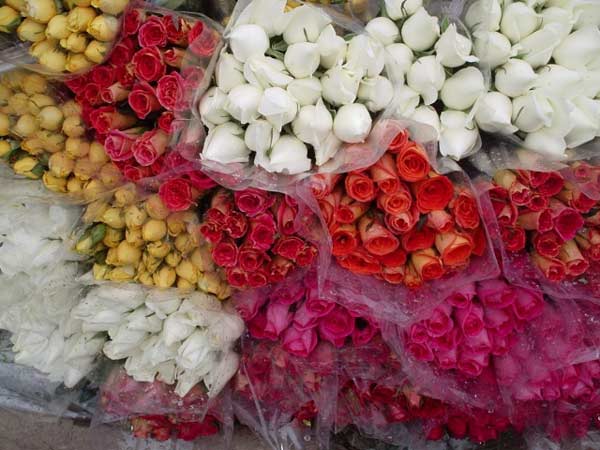 Chợ hoa Quảng Bá đẹp lạ trên báo nước ngoài