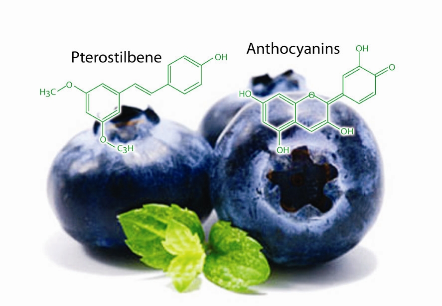 OTIV chứa các hoạt chất Anthocyanin, Pterostilbene từ Blueberry giúp chống gốc tự do, cải thiện tình trạng thiếu máu não
