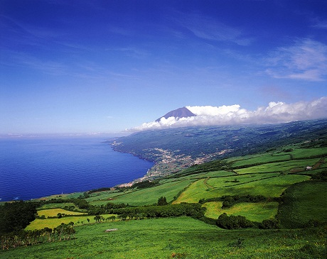 Đảo Pico nổi tiếng với rượu ngon và những con đường mòn uốn lượn xinh đẹp.
