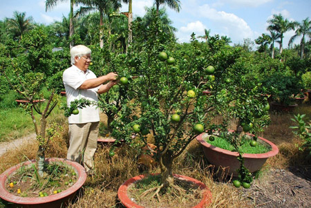 Ông Minh Tân và vườn kiểng trị giá tiền tỷ, được gây dựng sau những chuyến xuất ngoại.