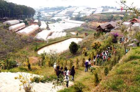 Phát triển đô thị nông nghiệp ở Đà Lạt (Nguồn ảnh: Báo Lâm Đồng)