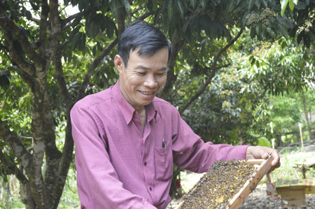  Ông Đinh Long chăm sóc đàn ong mật.