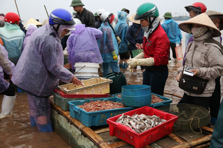 Hải sản ở bến Giao Hải chủ yếu là các loại mực, tôm biển, ghẹ, bề bề,  cá bơn, cá đuối,...