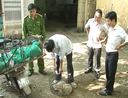 Động vật hoang dã quý hiếm vừa được công an phát hiện, thu giữ (Nguồn ảnh: Báo Phụ nữ)