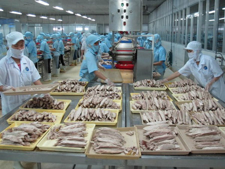 Chế biến cá ngừ đóng hộp tại Công ty KTC Food Kiên Giang.