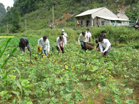 Dự án DBRP giúp nông dân nghèo ở Cao Bằng tiếp cận được nguồn vốn để đầu tư sản xuất lâu dài.