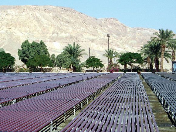 Trang trại nuôi cá trong sa mạc của Israel.