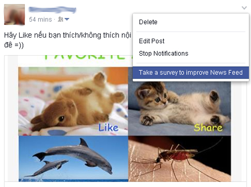 Facebook sẽ hỏi: 