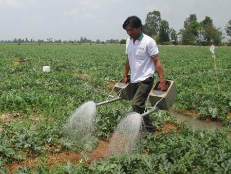 “Thủ lĩnh” trồng dưa hấu Trần Công Danh. 