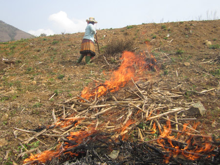 ND huyện Phù Yên khi đốt nương có người giám sát,  chia nhỏ điểm đốt và tránh giờ cao điểm nắng nóng để ngăn chặn cháy rừng.