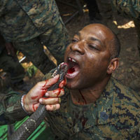 Xem lính Mỹ cắn cổ gà, uống máu rắn, ăn bọ cạp