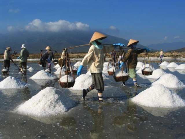Nữ diêm dân xã Long Điền Đông (Đông Hải – Bạc Liêu) gánh muối.