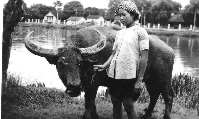 Áo bà ba chụp năm 1949 (sưu tầm)