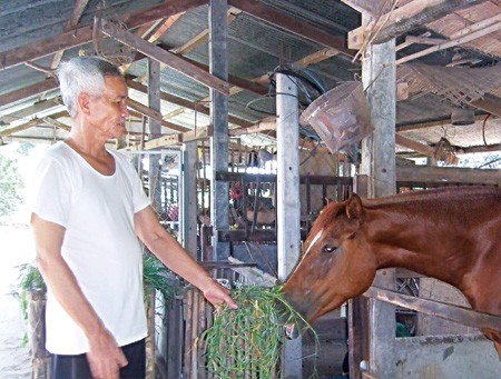 Thầy Ba Khánh Đông y bên tuấn mã 