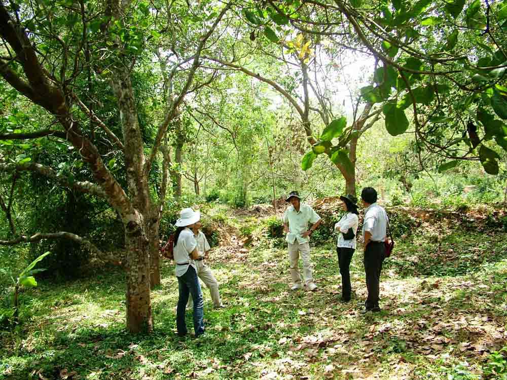 Thăm căn cứ địa Chàng Lía Truông Mây