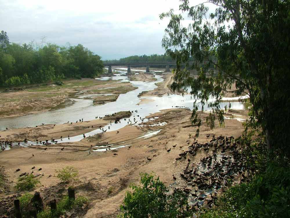 Nuôi vịt trên sông La Tinh