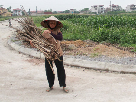 Khu đất nông nghiệp được lãnh đạo thôn Phúc Thành biến thành đất dịch vụ để bán kiếm lời. 