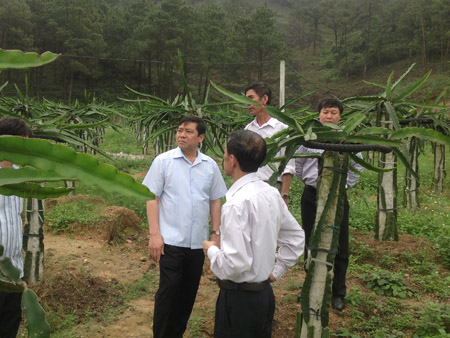  Phó Chủ tịch Lại Xuân Môn (trái) thăm trang trại của ông Đoàn Quang Ngọc.