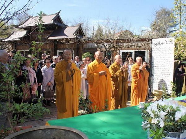 Ảnh minh họa. (Ảnh: Nguyễn Tuyên/Vietnam+)