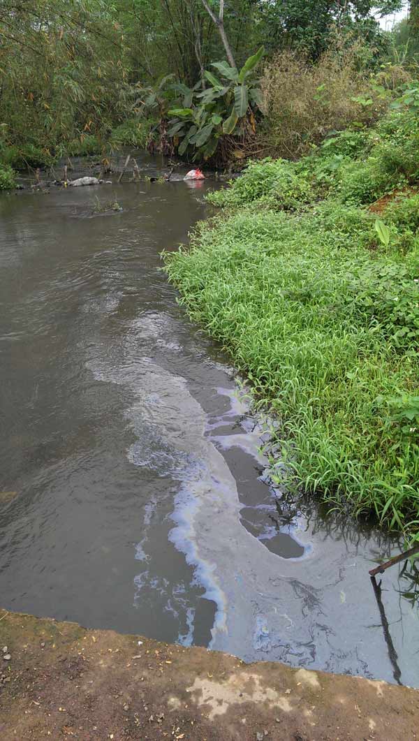 Suối Cốc chảy từ Nhà máy Cốc Hóa qua 3 tổ dân phố thuộc phường Cam Giá.  