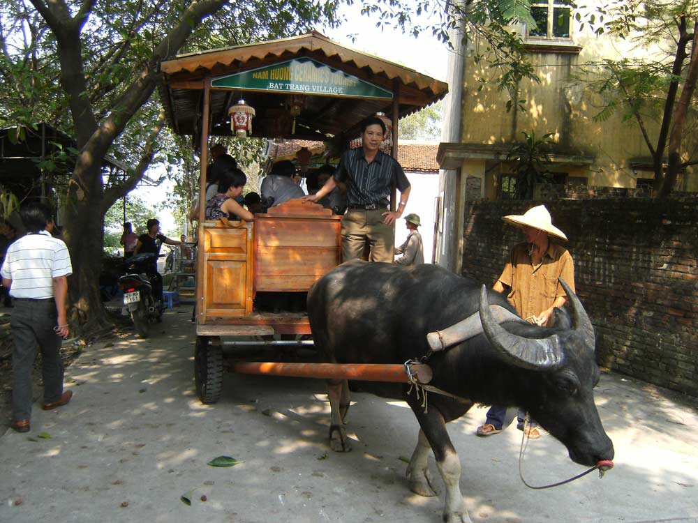 Du lịch bằng xe trâu ở làng Bát Tràng. 