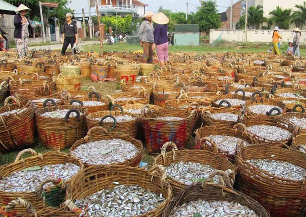 Cá biển đánh bắt gần bờ, tại chợ hải sản Yến  (Tuy An, Phú Yên). 