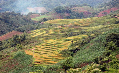 Ruộng bậc thang ở Điện Biên (Ảnh minh họa, nguồn: CAND)