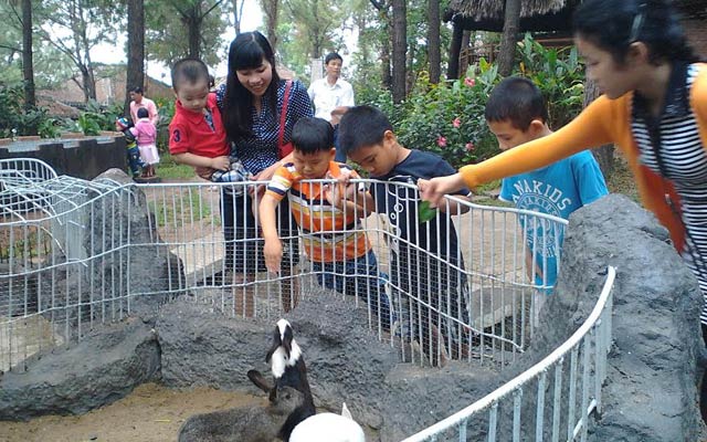 Khách đến tham quan nơi nuôi nhốt động vật hoang dã thông thường của nông dân Liên Chiểu. 