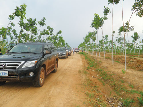 Dự án trồng cao su tại Lào của Tập đoàn Hoàng Anh Gia Lai (Ảnh minh hoạ, nguồn: TNO)