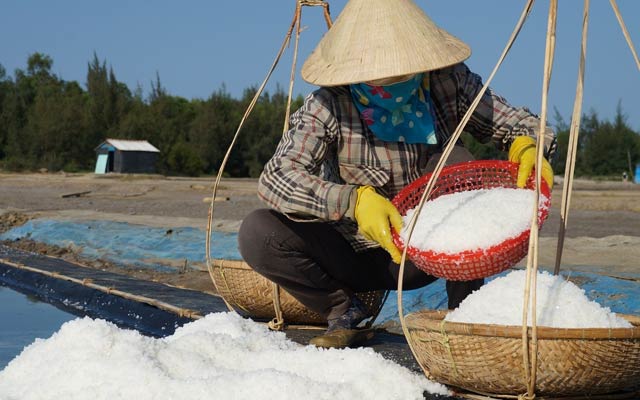 Áp dụng mô hình sản xuất muối lót bạt, thu nhập của diêm dân xã Tam Hòa đã được cải thiện rõ rệt.