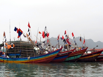Đường dây nóng về hoạt động nghề cá Việt Nam-Trung Quốc giúp xử lý sớm các sự cố của ngư dân. (Ảnh minh hoạ, nguồn: )