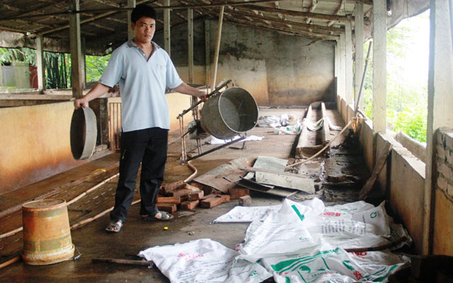 Anh Lê Văn Mùi buộc phải bán lợn với giá rẻ để trả lại ruộng trước sức ép đòi ruộng của người dân.