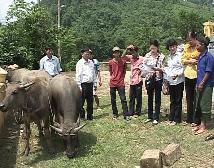 (Nguồn ảnh: TTĐT Vĩnh Linh, Quảng Trị)