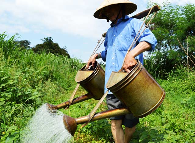 Những người Hoa đang sinh sống tại Đăk Lăk mong mỏi chính phủ Trung Quốc rút ngay giàn khoan HD 981 để giữ tình hòa hảo, cho người dân hai nước được sinh sống trong hòa bình.