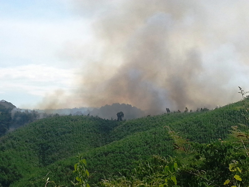 Ảnh: Rừng tự nhiên Xuân Khang đang bị cháy vì hộ dân dùng lửa dọn rừng sau thu hoạch.