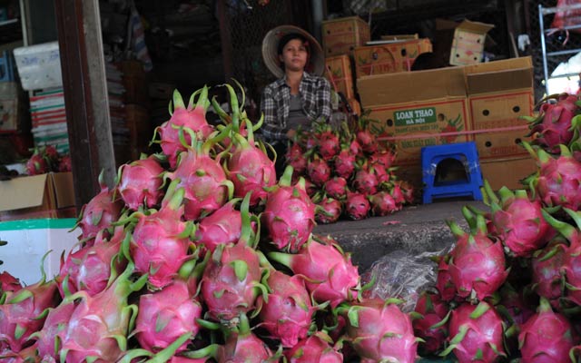 Cảnh ế ẩm tại chợ Long Biên (Hà Nội). 