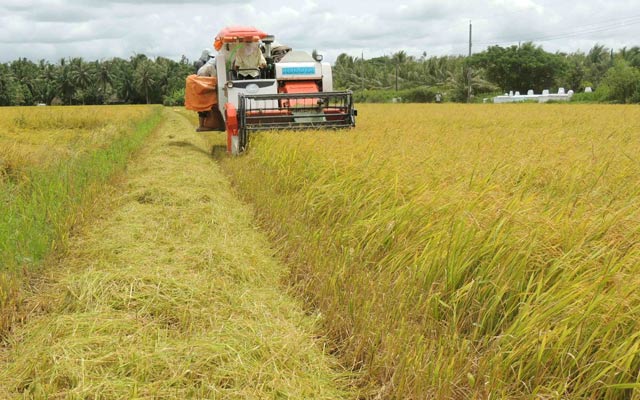 Với tiềm năng sẵn có, vùng ĐBSCL sẽ tạo điều kiện thuận lợi để DN Nhật Bản vào đầu tư, hợp tác. 