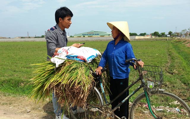  Hơn 20,5 ha đất nông nghiệp bị thu hồi ở xã Định Liên, huyện Yên Định, Thanh Hóa. 