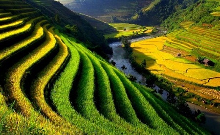 Những phong cảnh đẹp ở Việt Nam “hút hồn” du khách