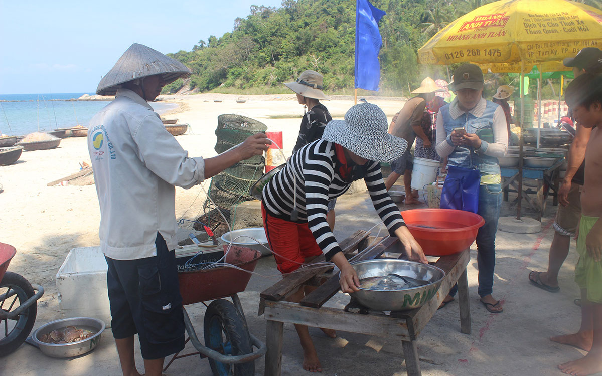 Chợ hải sản tươi ngon có “view đẹp nhất nhì Việt Nam“