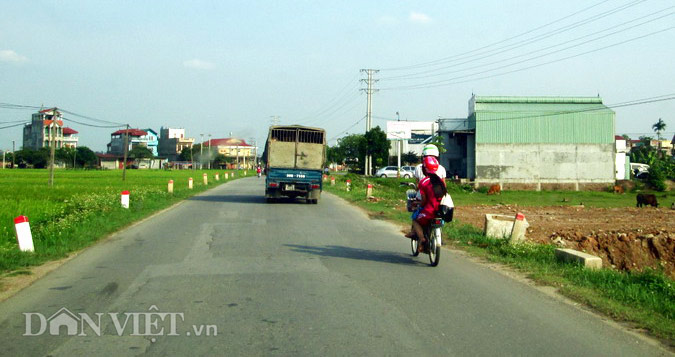 Cánh đồng Năm tấn - Hãy mơ tưởng mình đang ở trong một cánh đồng lúa vàng rực rỡ của quê hương. Những hàng lúa cao vút ngút trời, đầy màu sắc sẽ nâng cao tinh thần của bạn. Bức tranh sẽ đưa bạn trở về đất nước và cảm nhận những thiên nhiên đầy sống động.