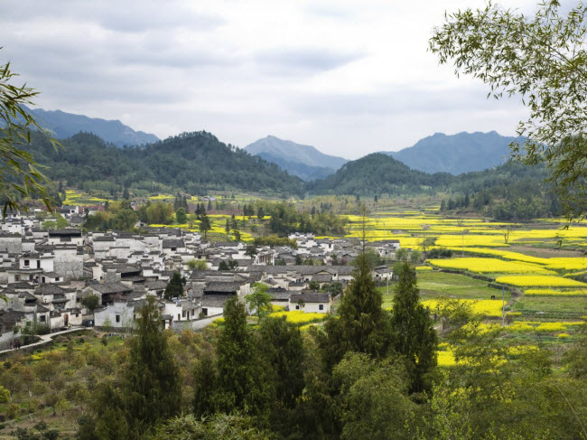 19 ngoi lang nho ban nen den mot lan trong doi hinh anh 19