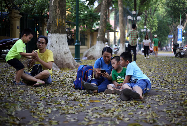 duong ha noi trai tham vang mua la bay hinh anh 8