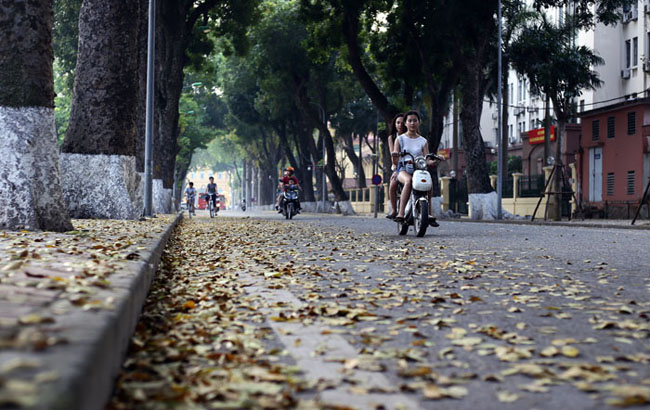 duong ha noi trai tham vang mua la bay hinh anh 9