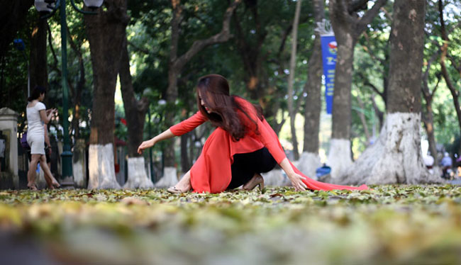 duong ha noi trai tham vang mua la bay hinh anh 4