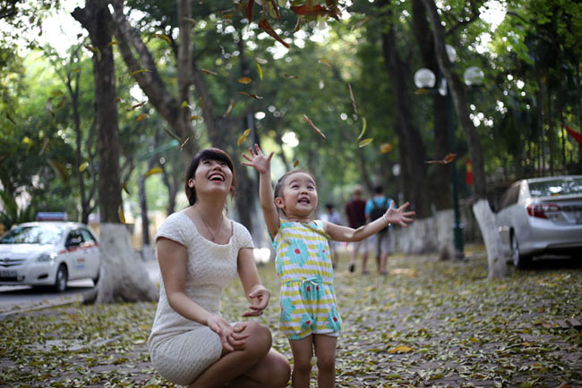 duong ha noi trai tham vang mua la bay hinh anh 7