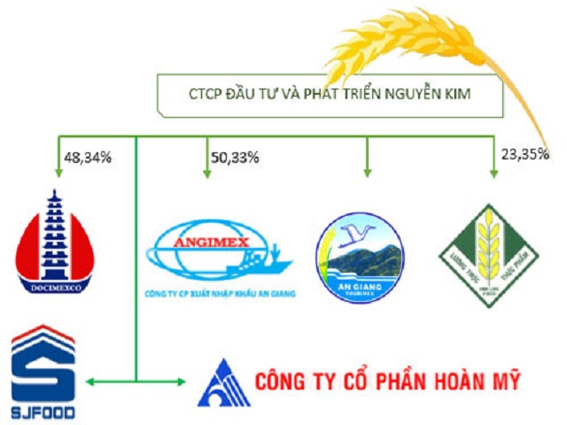 Danh mục đầu tư của Nguyễn Kim Holding