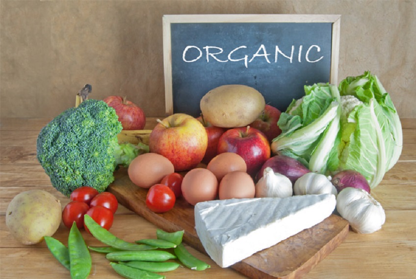 Khám phá hơn 78 về mô hình organic food mới nhất  Tin học Đông Hòa