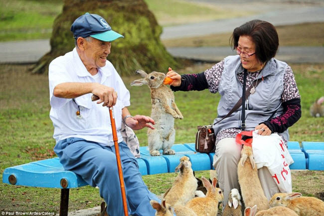 kham pha nhung vuong quoc danh rieng cho dong vat hinh anh 4