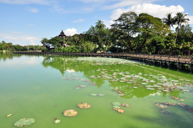 10 trai nghiem thu vi, khong the bo qua khi du lich myanmar hinh anh 6